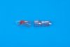 Eduard CX528 P-61C HOBBY BOSS 1/72